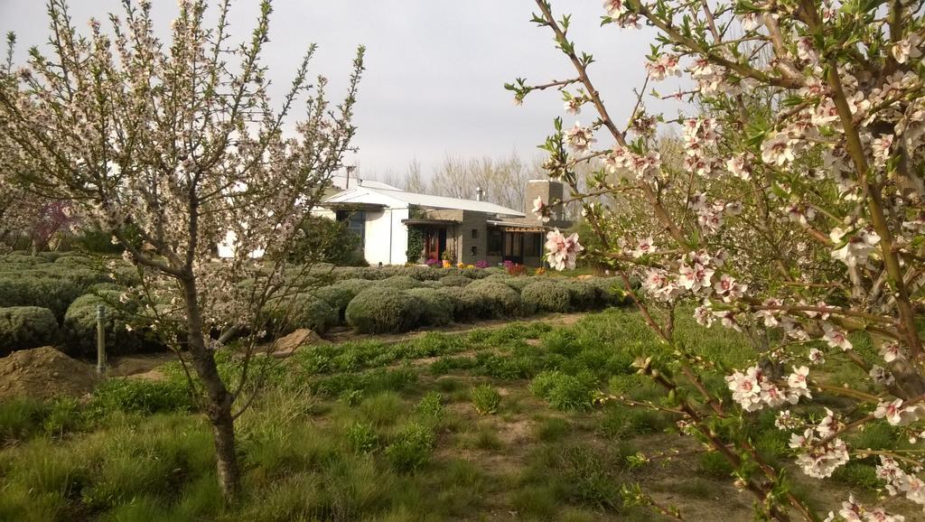 玛德琳港La Calandria Casa De Campo别墅 外观 照片